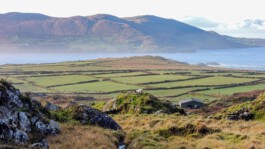 Estate Vision Photography - Amadé Hölzinger Architektur-Fotografie