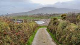 Estate Vision Photography - Amadé Hölzinger Architektur-Fotografie