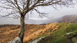 Estate Vision Photography - Amadé Hölzinger Architektur-Fotografie