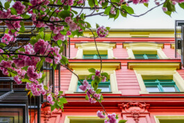 Estate Vision Photography - Amadé Hölzinger Architektur-Fotografie