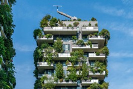 Estate Vision Photography – Amadé Hölzinger Architektur-Fotograf